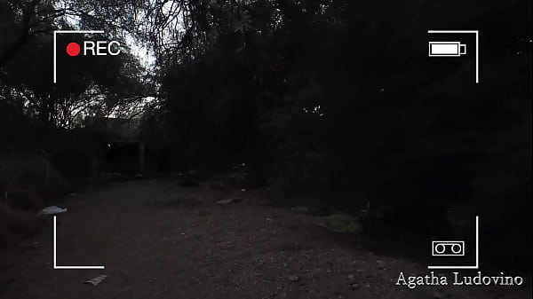 Nonton Especial De Halloween - A Loira Do Banheiro thumbnail