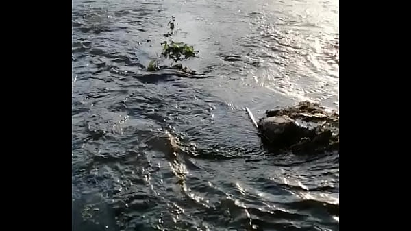 वेरीफ़िकेशन विडियो 