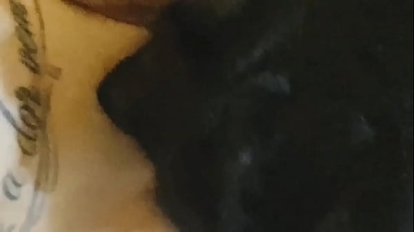 Play MP4 - Dividi minha amiga dotada trans com o meu corninho&period;