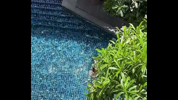 #pool #bikini - Update #166 (2025-02-21T04:18:03.000Z) 