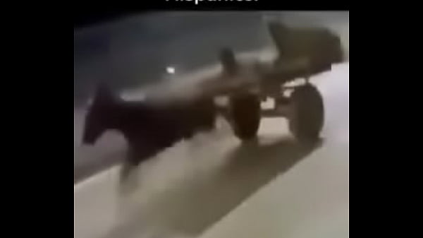 Humans Be Like: thumbnail