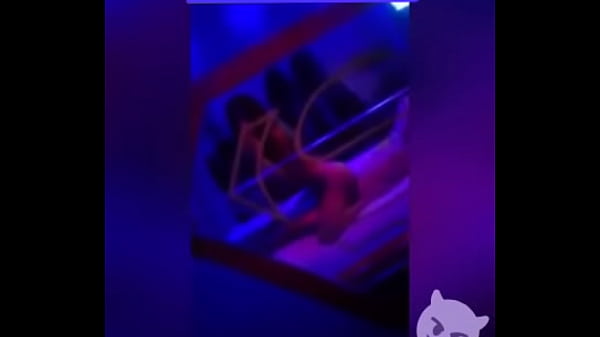 Tu perrita vip_de los Olivos 925001456