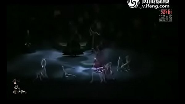 验证视频 