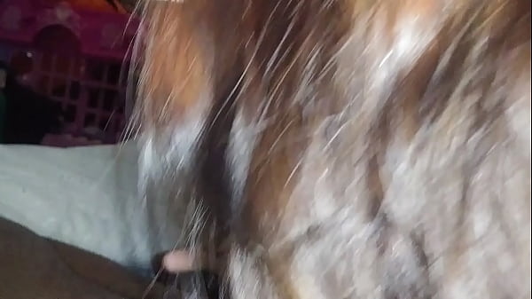 Nonton 20171213 084609 thumbnail