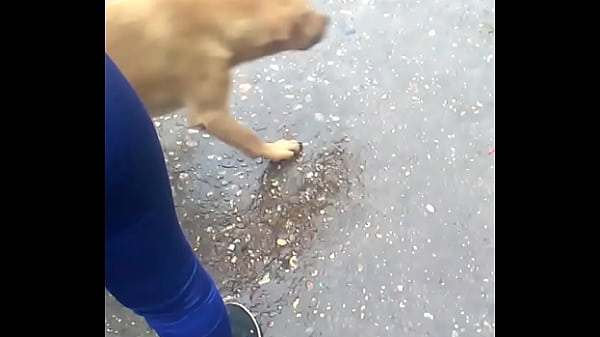 CULONA MERCADO MODELO HUANCAYO