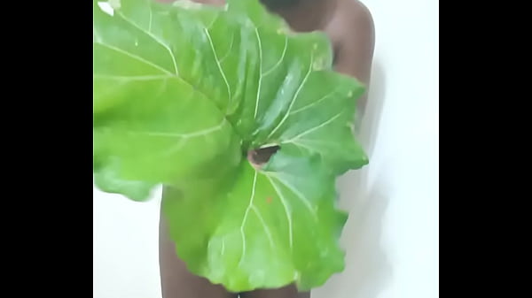 Nonton Similar To The Human Flower Arse Vase, The Human Green Leaf Arse Vase 5 thumbnail