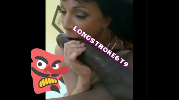 Cocks layers of Longstroke6t9 