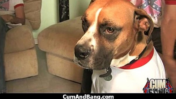 Nasty group blowjob porn video 15 