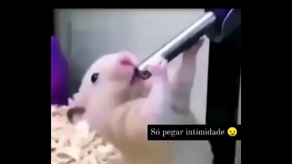 Nonton Segredo Da Paix&atilde;o Sexshop Amazonas thumbnail