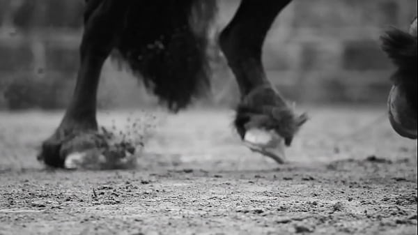 Maluma Feid Mojando Asiento