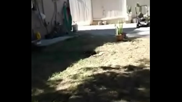 Nuestro amigo_nos visita