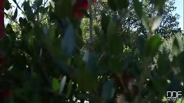 Nonton Bombshell Booty! thumbnail