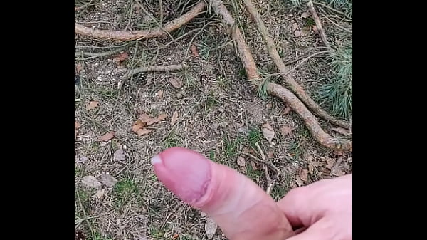 Play MP4 - jerking off in forest