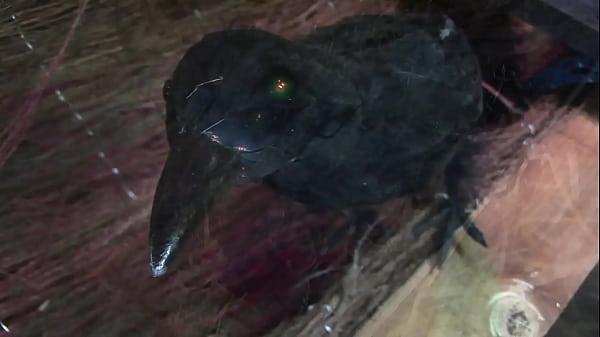 Nonton Claudia Adams Teaches Her Witch Student How To Make A Man Appear thumbnail