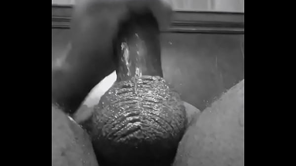 Lunch break nut