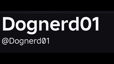 Add me to fuck on Roblox!