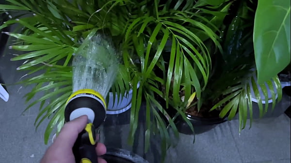 Cheating wife with sucks his dick fucked in pussy in all positions and cumshot in mouth 