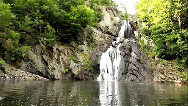 ANTI SISSY FOR MAN AND WOMEN BECOME ALPHA AGAIN