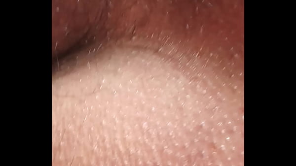 Cucetuda...... 