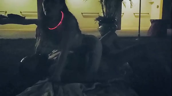 Asian and bbc have sex outside google jayla inc 