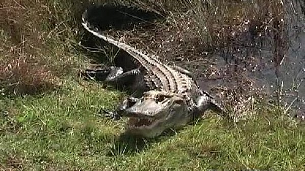 Dirty carmen having nice with some 