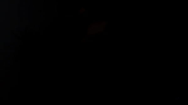 Nonton Mischell Milf thumbnail