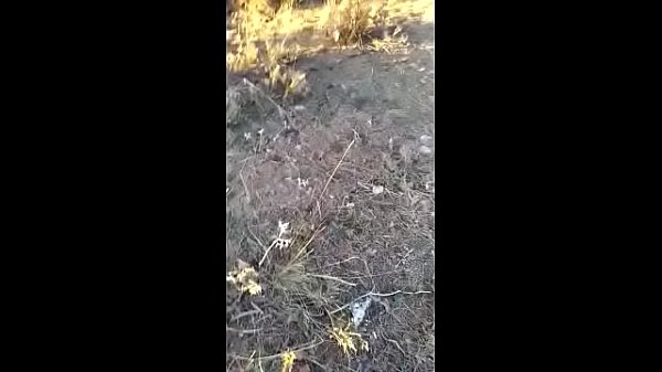 Play MP4 - Rosafuxxxia in the mountain