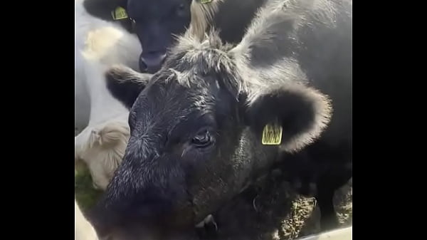 I am a country girl at heart would you have thought i find my peace in nature soaking up the sun and embra