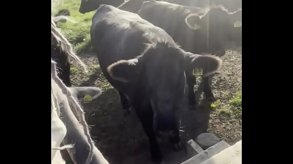 I am a country girl at heart would you have thought i find my peace in nature soaking up the sun and embra