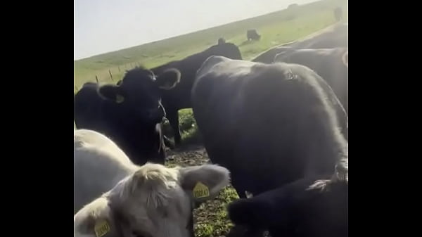 I am a country girl at heart would you have thought i find my peace in nature soaking up the sun and embra