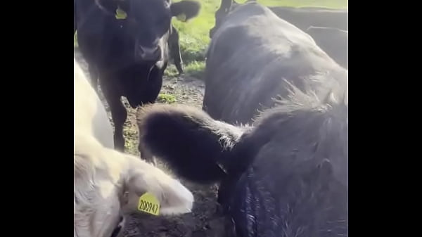 I am a country girl at heart would you have thought i find my peace in nature soaking up the sun and embra 