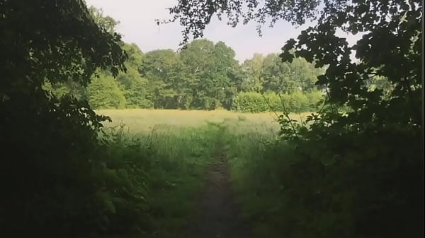 Te necesito pine grove 