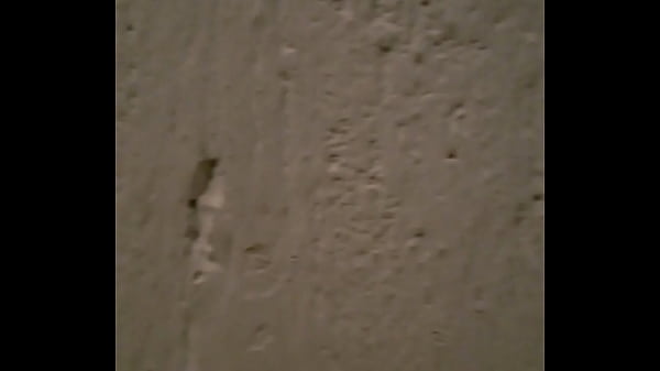 WP 20160925 19 52 41 Pro[1]