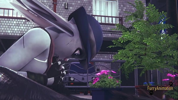 Zootropia Hentai Furry - Judy Hopps Boobjob With Sucking thumbnail