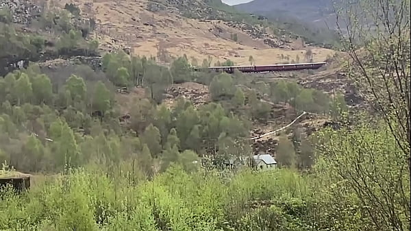 Nonton Verification Video thumbnail