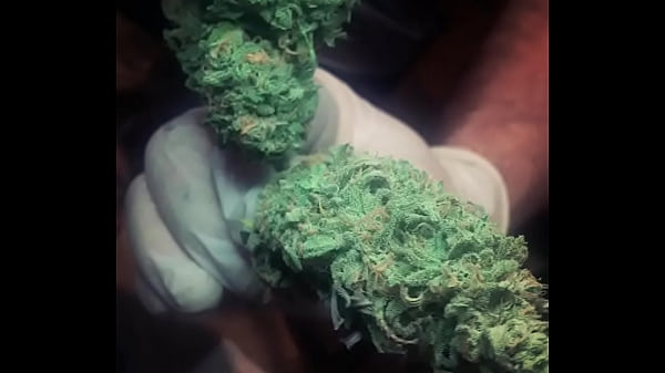 Tatted pawg *sc fan * throat 1000 views challange ig kslaydher 