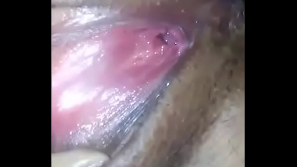 perrita alegre de tronconal 3 