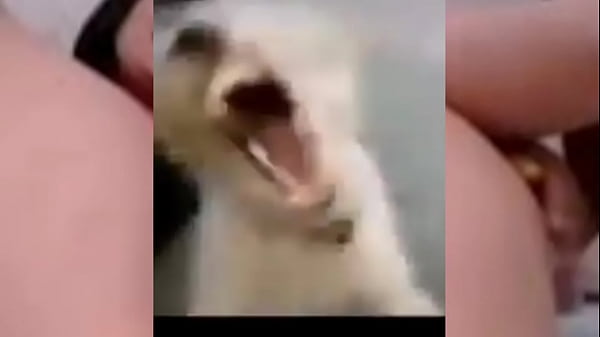 Para los se&ntilde_ores cachondos