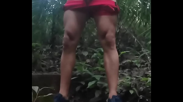 Play MP4 - En el bosque