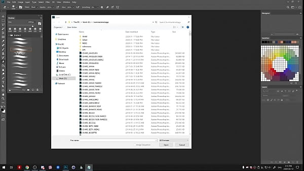 Sts broadcast by dc on picarto from february twelfth 2020 b 