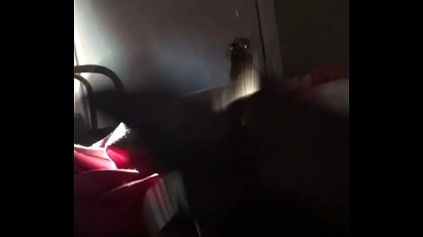 morning wood fun hard dick 