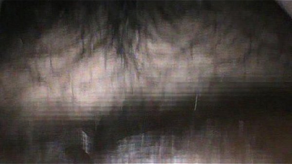 Video bokep part 13625279 