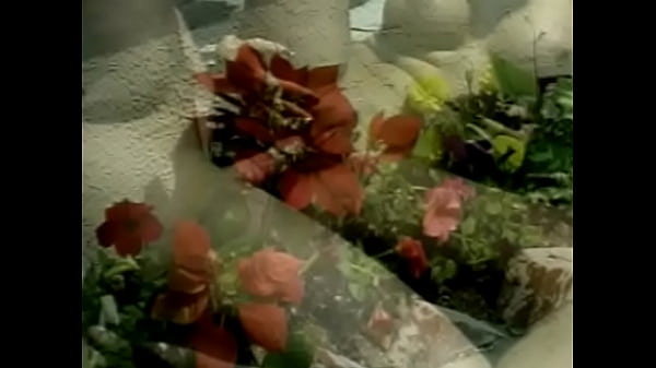 Play MP4 - Stupid hoe gets ass fucked