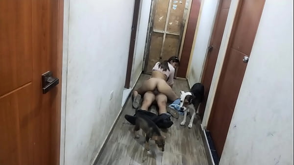 Me visitan ysolo lorecibo_para follarmelo_tengo tantas ganas que lo tiro al piso