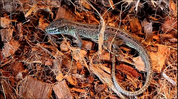 &eth;&iexcl;&eth;&micro;&ntilde;&euro;&eth;&deg;&ntilde; &ntilde;&ntilde;&permil;&eth;&micro;&ntilde;&euro;&eth;&cedil;&ntilde;&dagger;&eth;&deg; Y24 thumbnail