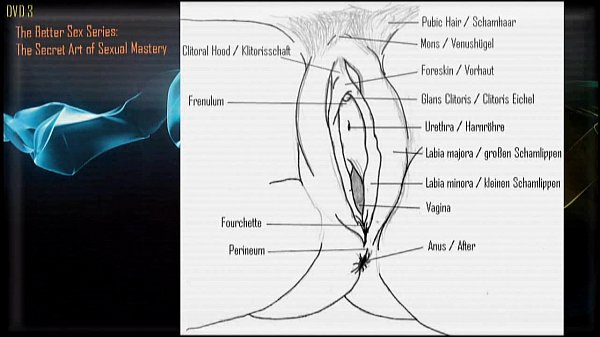 better sexlife com english trailer