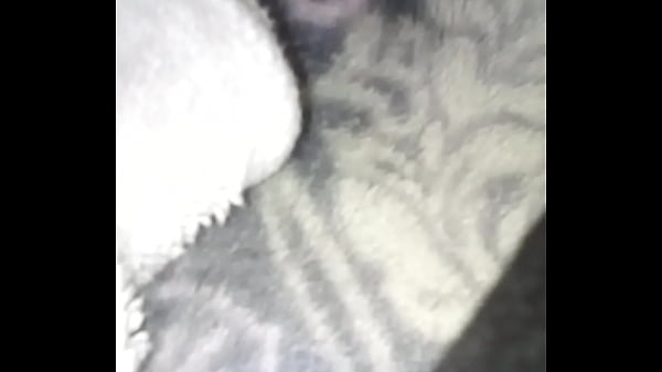 Nonton Xvideos Presents Black Nasty thumbnail