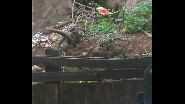 Transa bem gostosa no matinho 