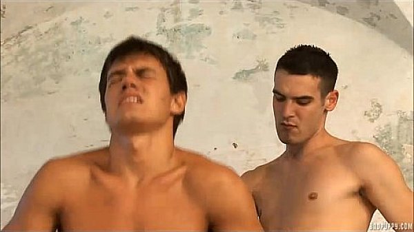 causa 498 Tobias bonus 