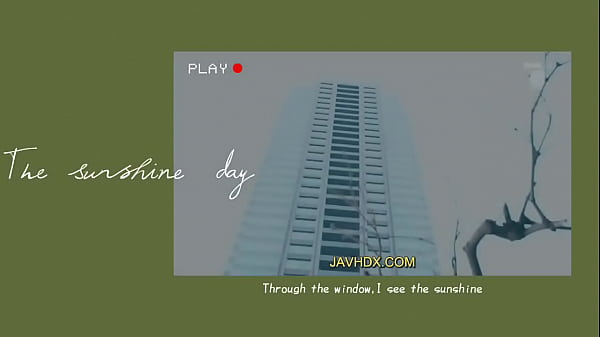 验证视频 thumbnail